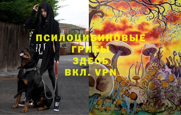 соль курить ск Вязники