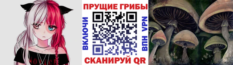 площадка состав  купить  цена  Десногорск  Галлюциногенные грибы прущие грибы 